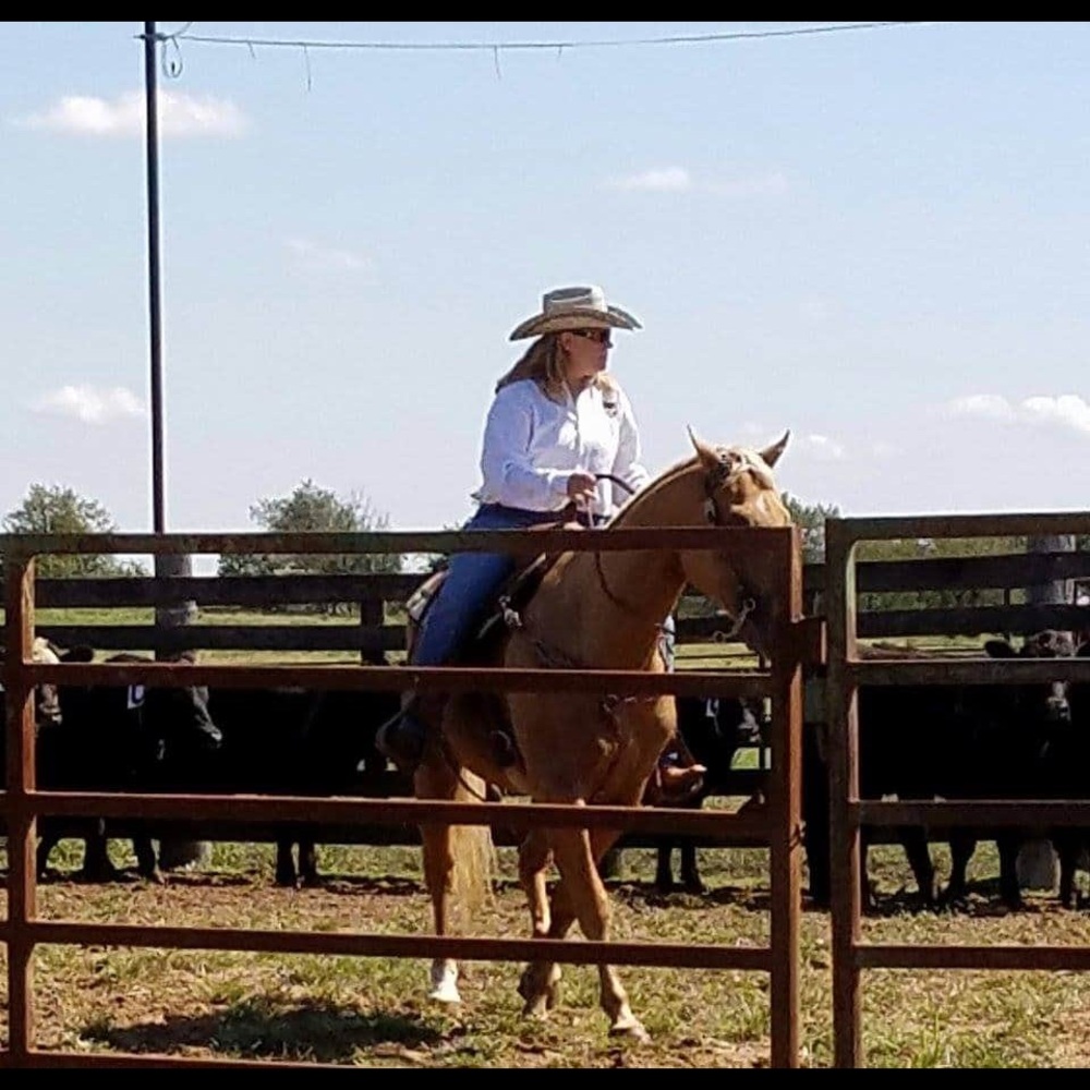 Meet your Posher, Jann